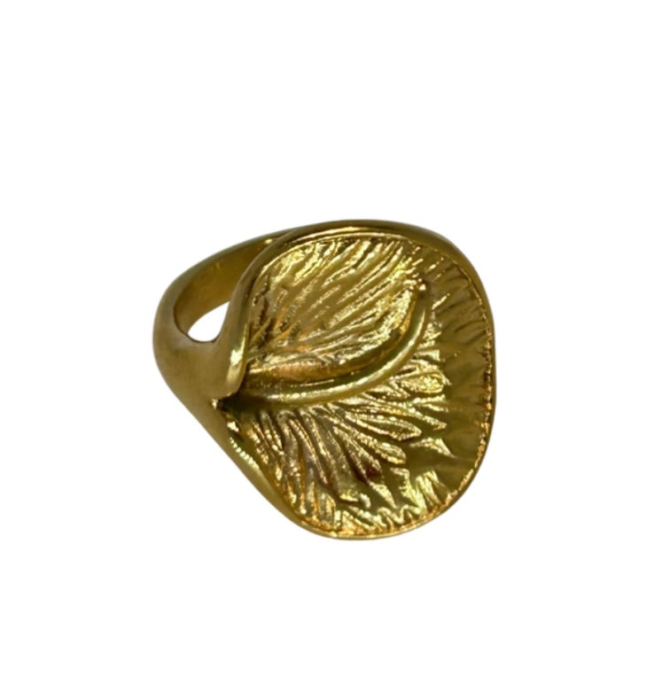 Anillo Arrel