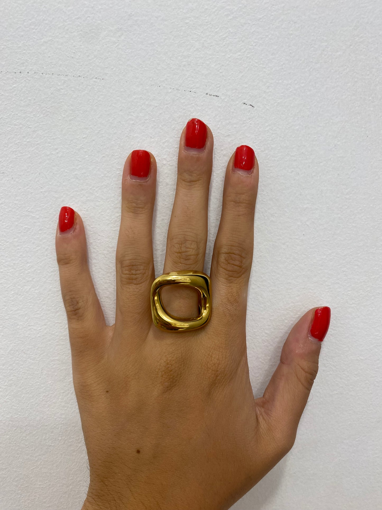 Anillo Bache
