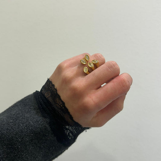 Anillo Vida