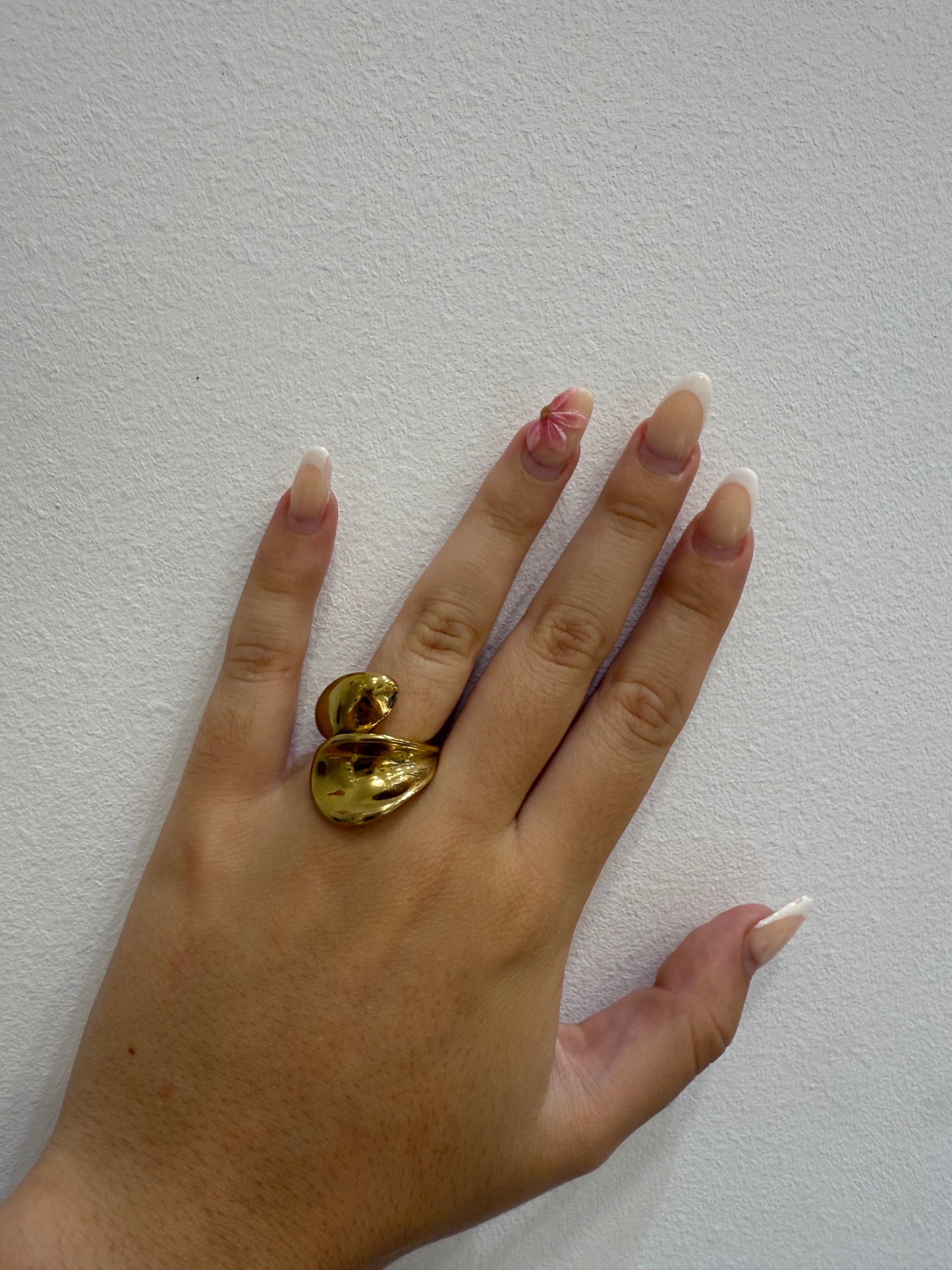 Anillo Ciclón