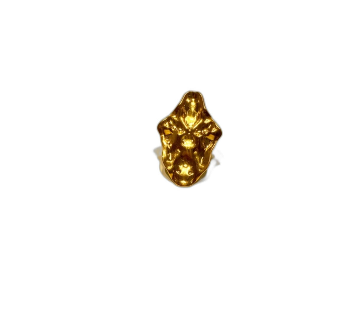 Anillo plato