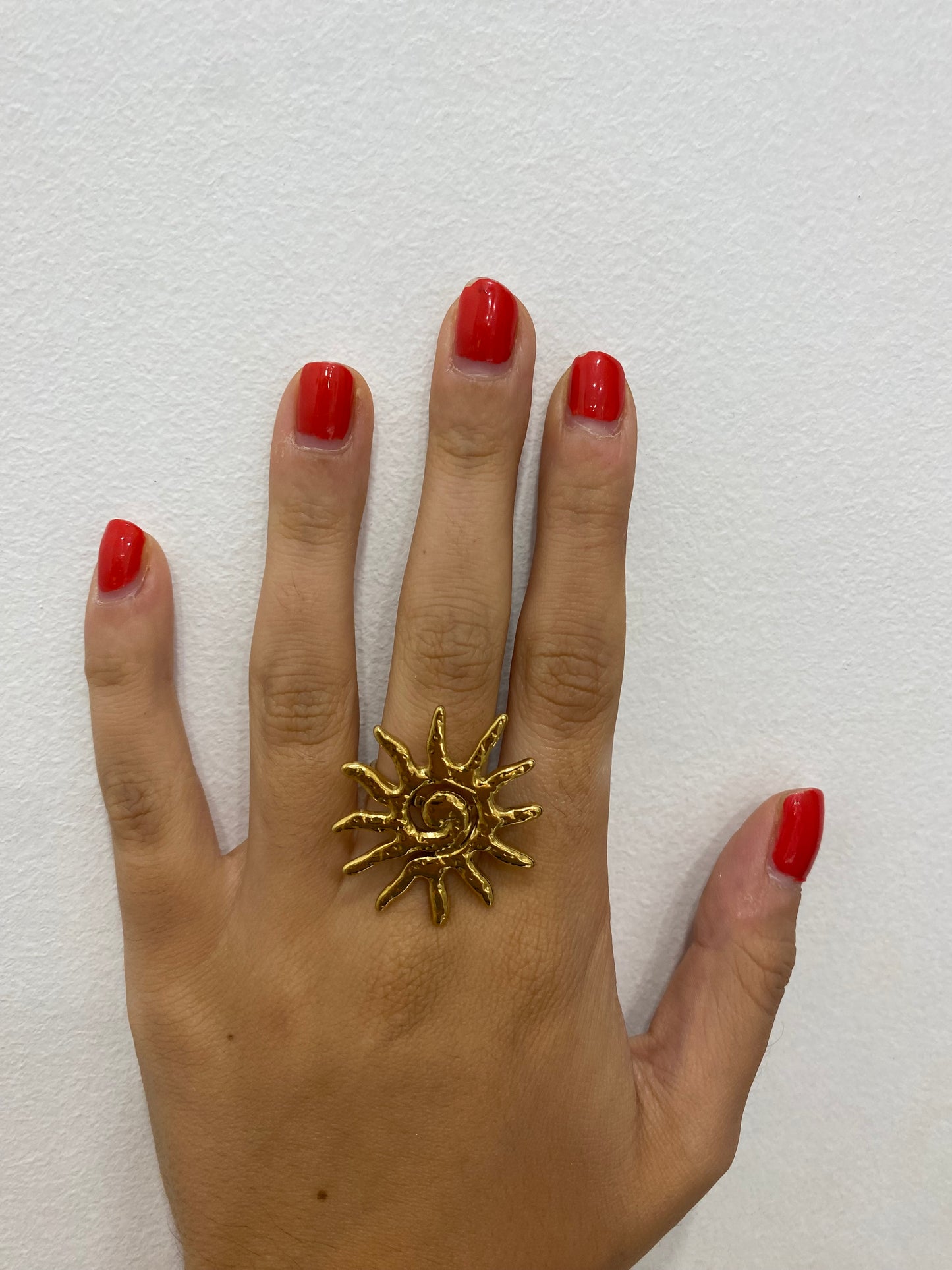 Anillo Solespi