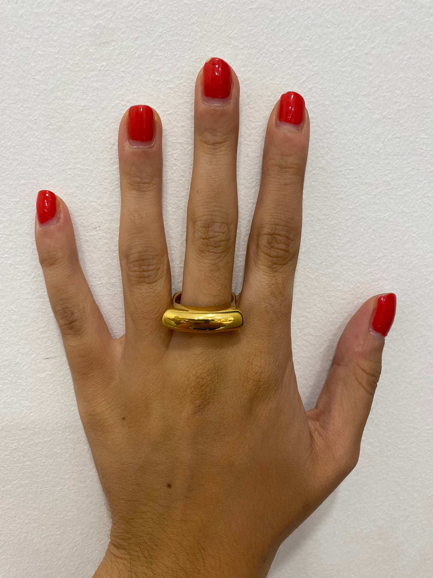 Anillo Rasante