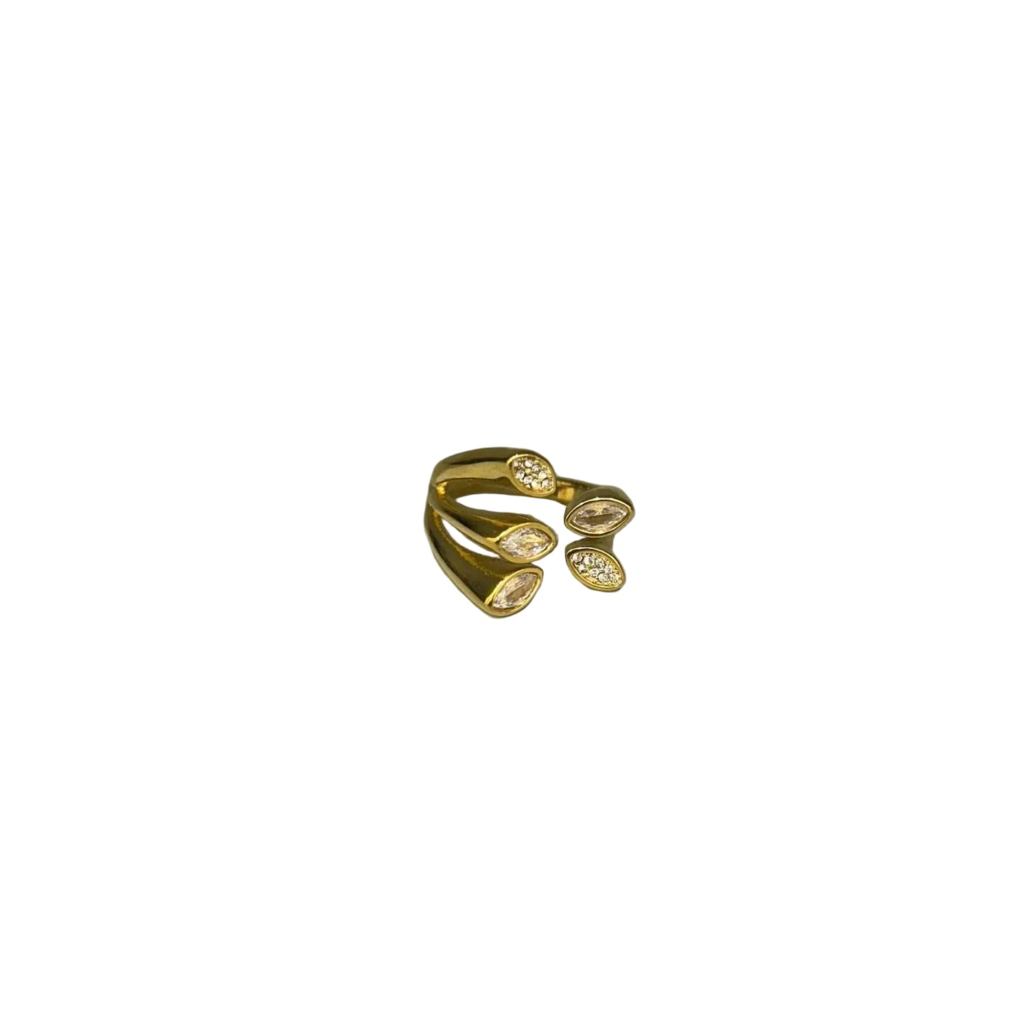 Anillo Vida