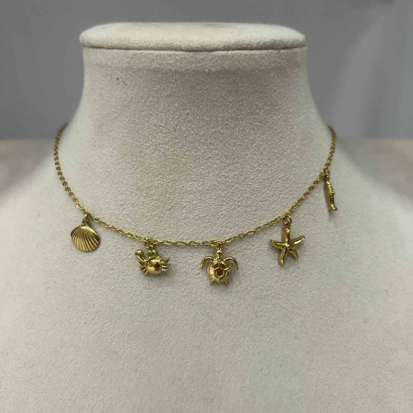 Collar Marino