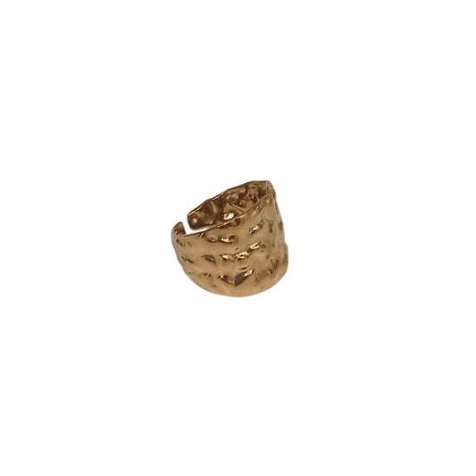 Anillo Relieve