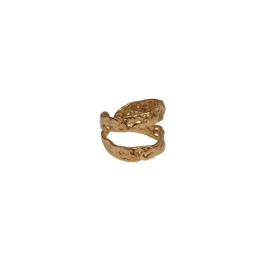 Anillo Par