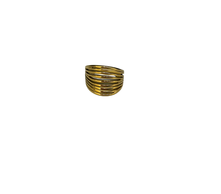 Anillo Origen