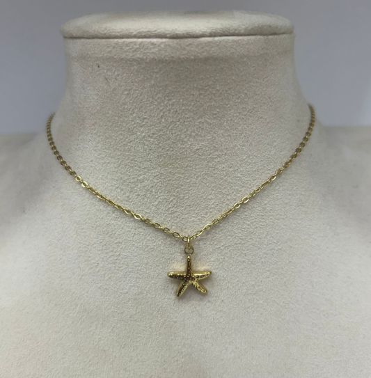 Collar Mar