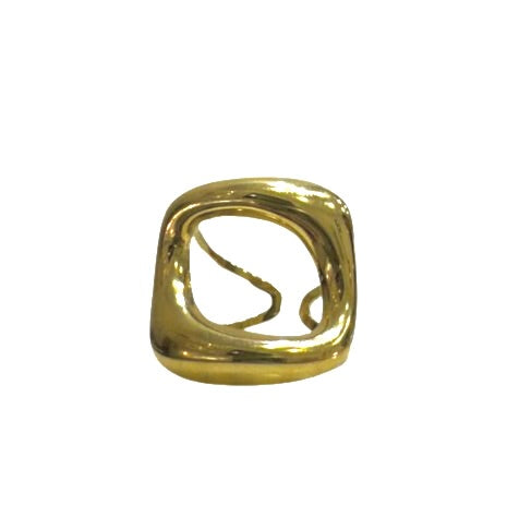 Anillo Bache
