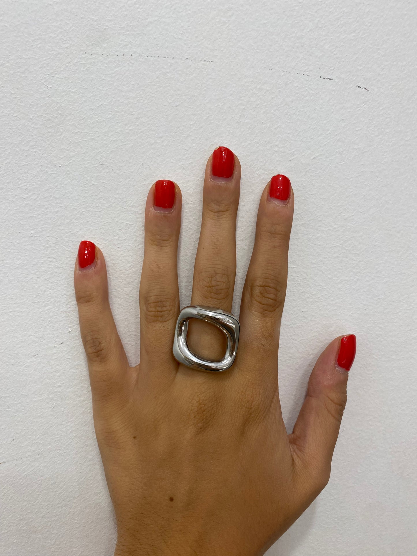 Anillo Bache